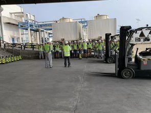 津門添趣 食品工廠里的叉車地牛競技賽